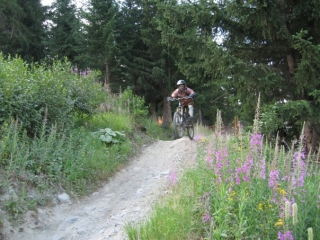  骑自行车穿越乡村 